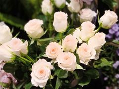 -谷莠子花艺·气球派对·绿植造景·花艺沙龙(金光华广场店)