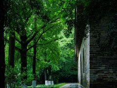 -灵谷景区