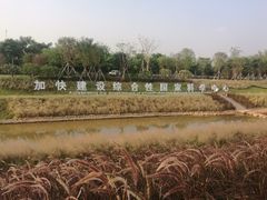 -光明小镇欢乐田园