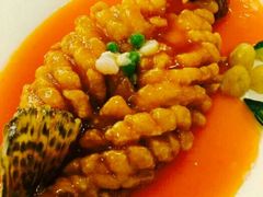 -清真·安乐园菜馆(茶南店)