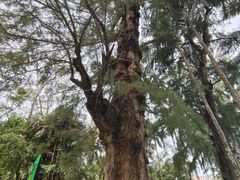 -北海市海滨公园