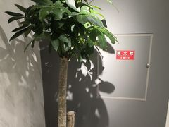 -W·24H茶楼·棋牌·掼蛋(望京店)