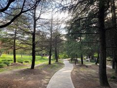 -黄兴公园