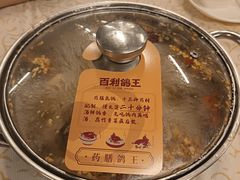 -百利鸽王(紫薇路店)