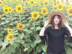 -五通灯塔公园