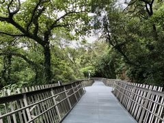 -福道