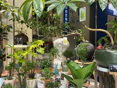 -弗劳尔花艺坊(龙涛店)