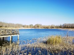 -野鸭湖国家湿地公园