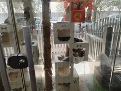 -暖阳宠物医院·犬猫康复中心·骨科