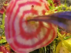 -造精酿餐厅