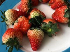 -味餐厅·海鲜·火锅·自助餐