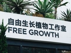 -自由生长植物工作室(深港花卉中心店)