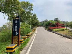 -羊山湖公园
