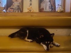 -柴の食堂·日式家庭料理·熊之肆(大学路店)
