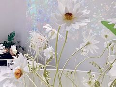 -MAMACHA妈妈茶(海信店)