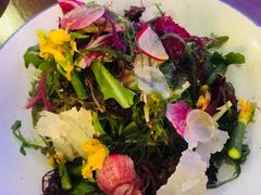 蔬菜沙拉伴海草和味噌醋汁-FISH&POTATO Cō(地中海美食 万象城店)