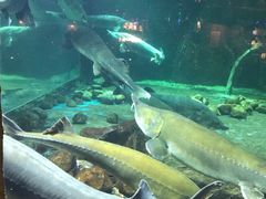 -华夏文旅海洋公园