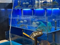 -百家鲜·杭帮菜