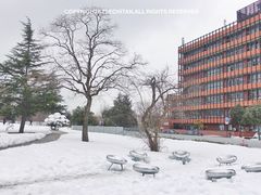 -金泽21世纪美术馆