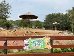 -大连森林动物园