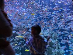 -成都浩海立方海洋公园