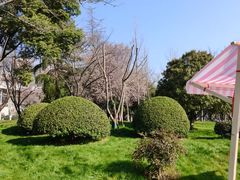 -堤角公园