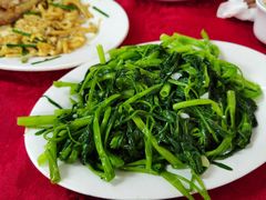-蛇口康乐快餐鱼仔档(翠苑小区店)