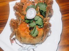 -呼吸森林·生态农庄农家乐私房菜