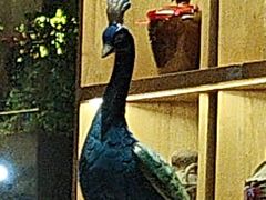 -金塔傣乡·云南民族特色菜·傣味手抓饭(金瓦路店)