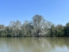 -大湾区中央湿地公园