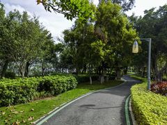 -五缘湾湿地公园