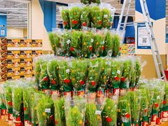-盒马X会员店(王府井奥莱UP TOWN店)