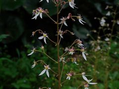 -苏州河梦清园环保主题公园