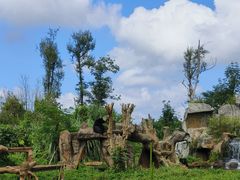 -海南热带野生动植物园