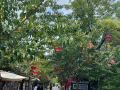 -回龙窝历史文化街区