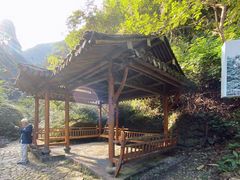 -龙湾潭国家森林公园
