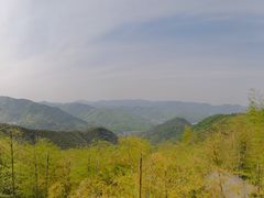 -莫干山风景区