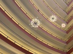 -新加坡文华东方酒店