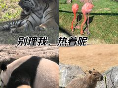 -沈阳森林动物园