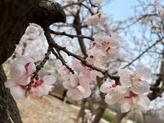 -青龙湖公园