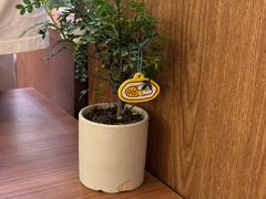 -CURRY YA 熟成咖哩專門店(深圳湾万象城店)