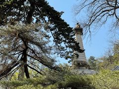 -潭柘寺景区