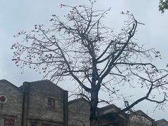 -赤坎·广东华侨国际旅游度假区