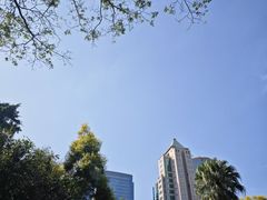 -九龙公园