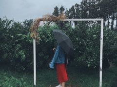 -柑橘农场