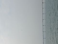 -五缘湾游艇帆船俱乐部