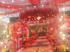 -印象高密·凤都国际大酒店