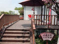 -高东镇樱花园