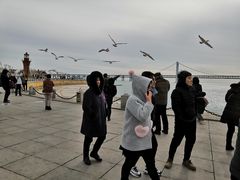 -星海湾跨海大桥