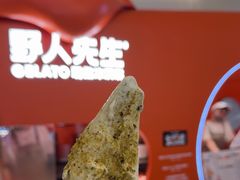 -野人先生现做冰淇淋(北京王府井东方新天地店)